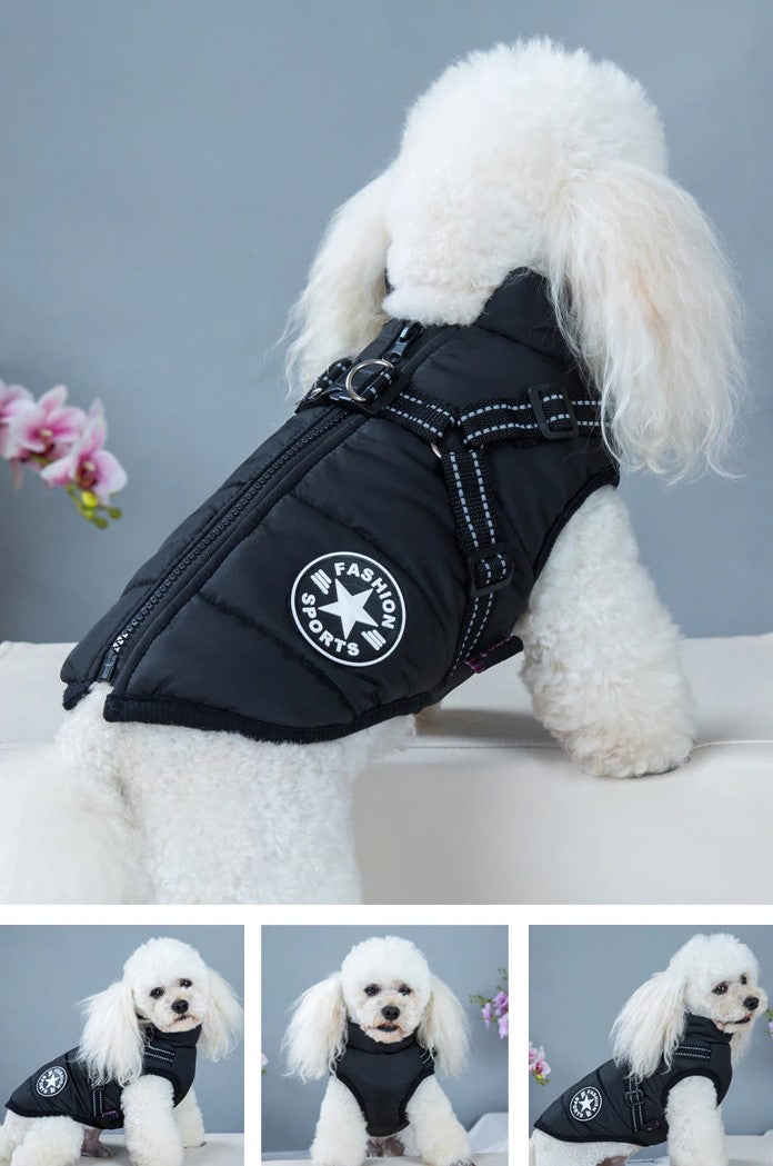 🔥Specially designed for pets🔥 Waterproof winter jacket with built-in harness