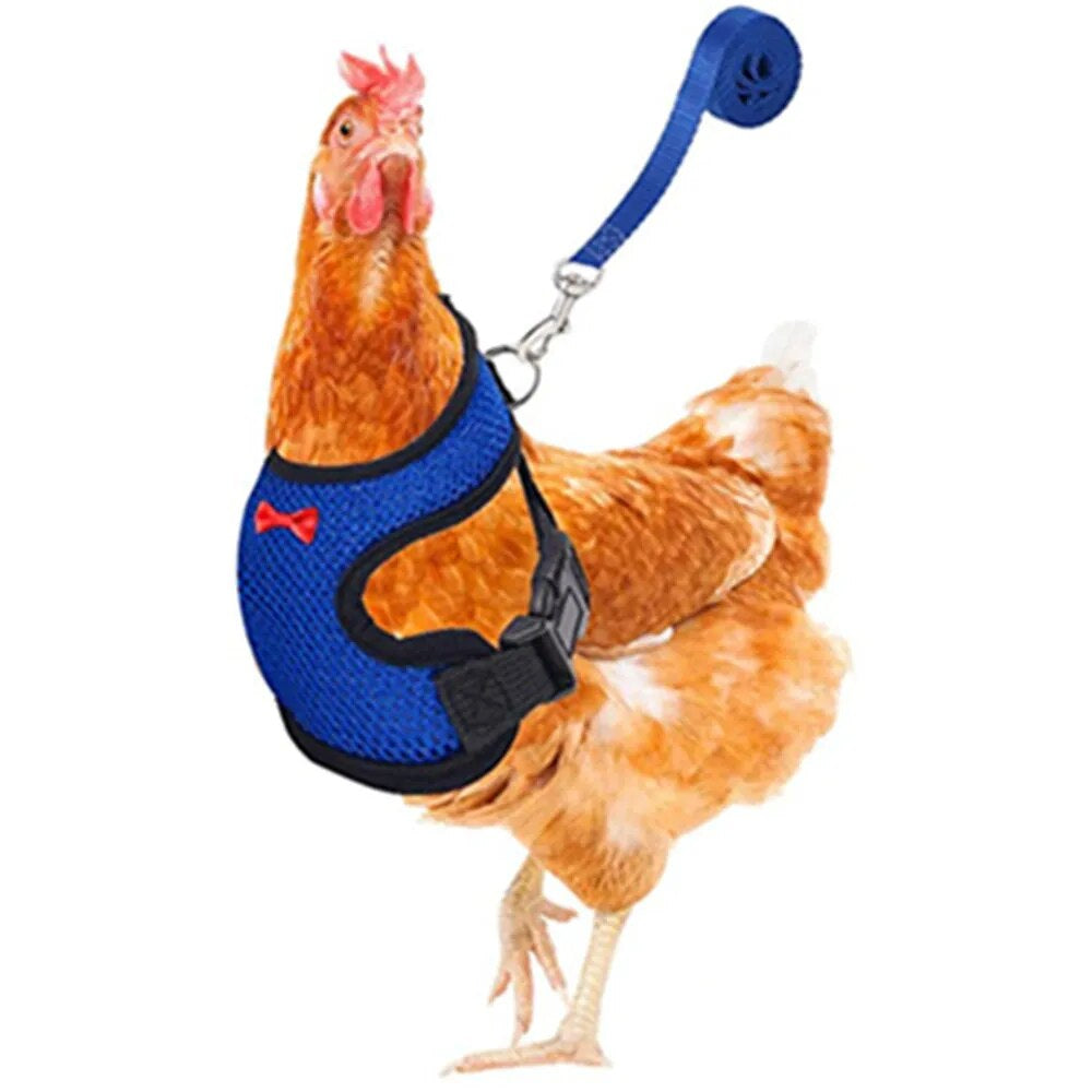 🔥Upgraded version🔥Velcro chicken breast strap neck (pet carrier)