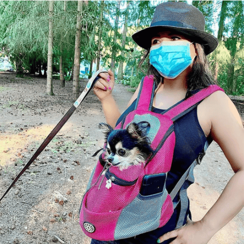 🔥Summer Hot Sale 🔥2024 Summer Dog Backpack