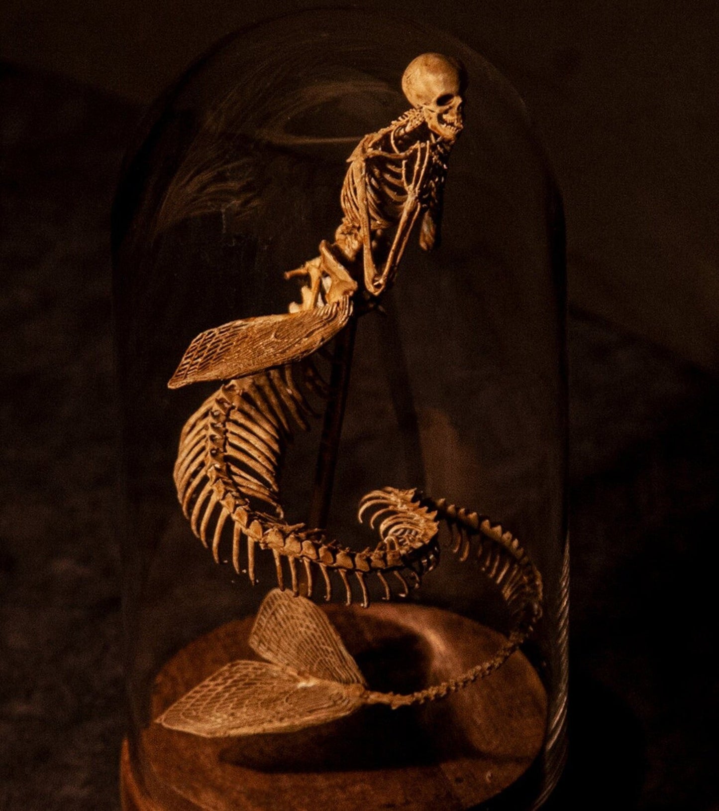 🔥🔥🔥Holiday Day Promotion 40% OFF WENDIGO SKELETON CURIOSITY CABINET  - Buy two and get free shipping!