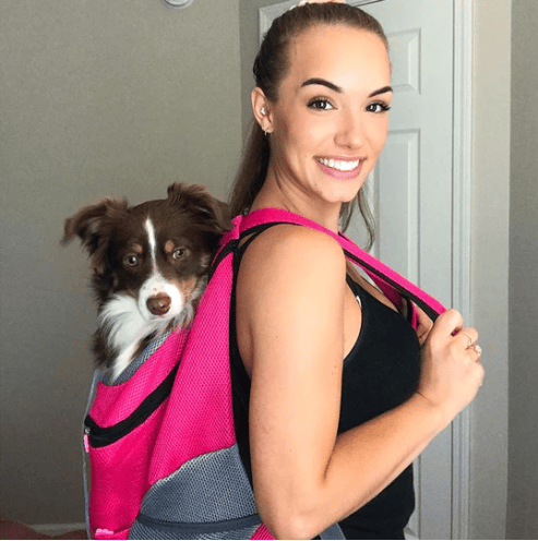 🔥Summer Hot Sale 🔥2024 Summer Dog Backpack