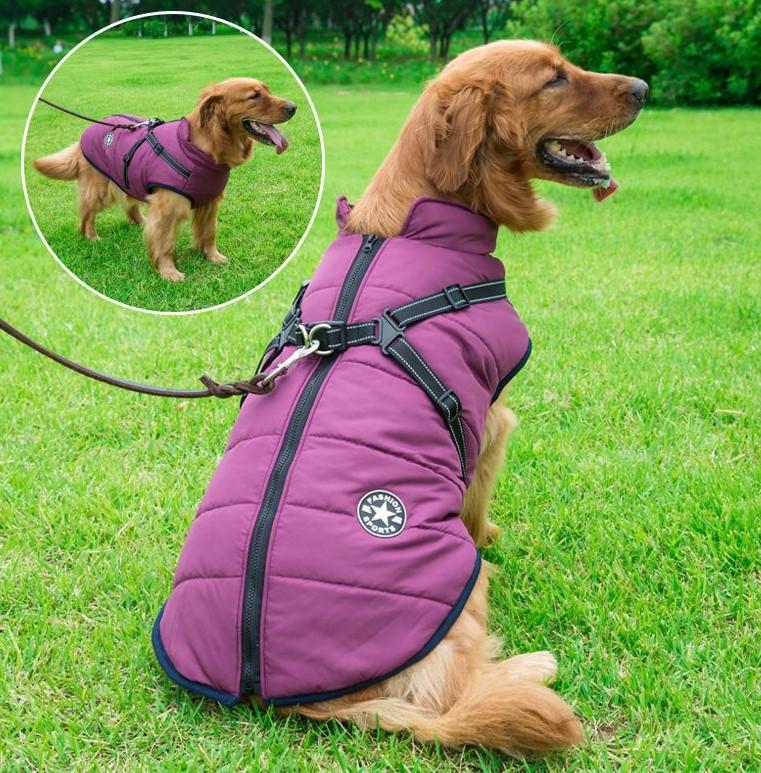 🔥Specially designed for pets🔥 Waterproof winter jacket with built-in harness