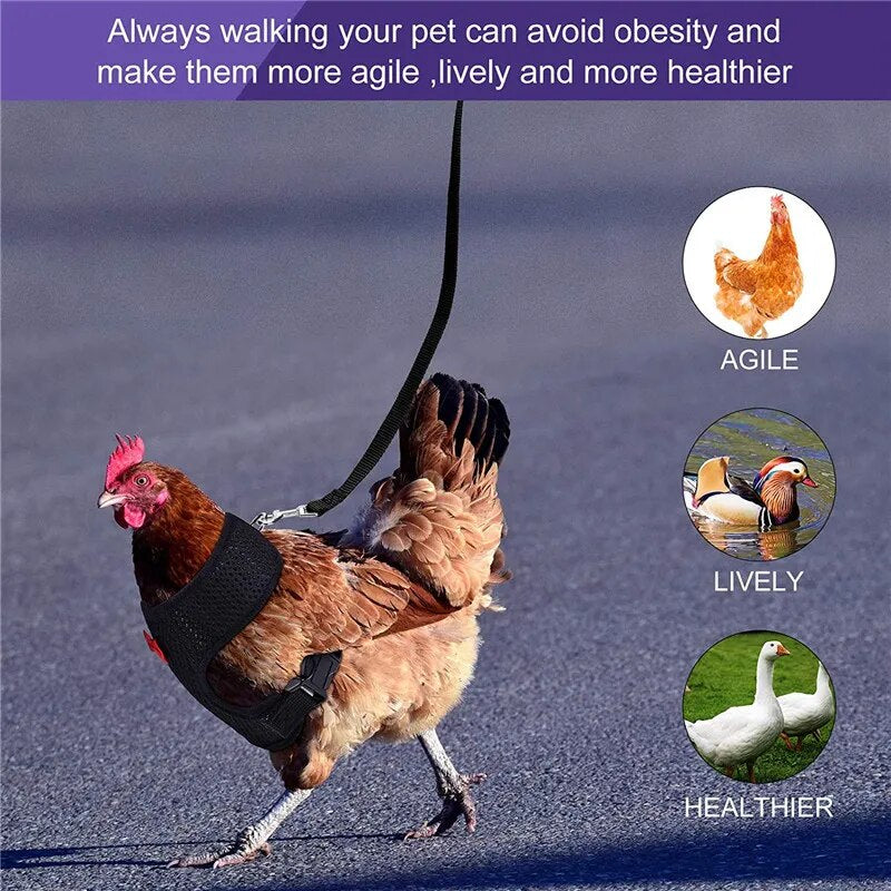 🔥Upgraded version🔥Velcro chicken breast strap neck (pet carrier)