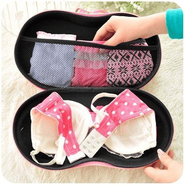 Big sale - Travel Bra and Underwear Organizer