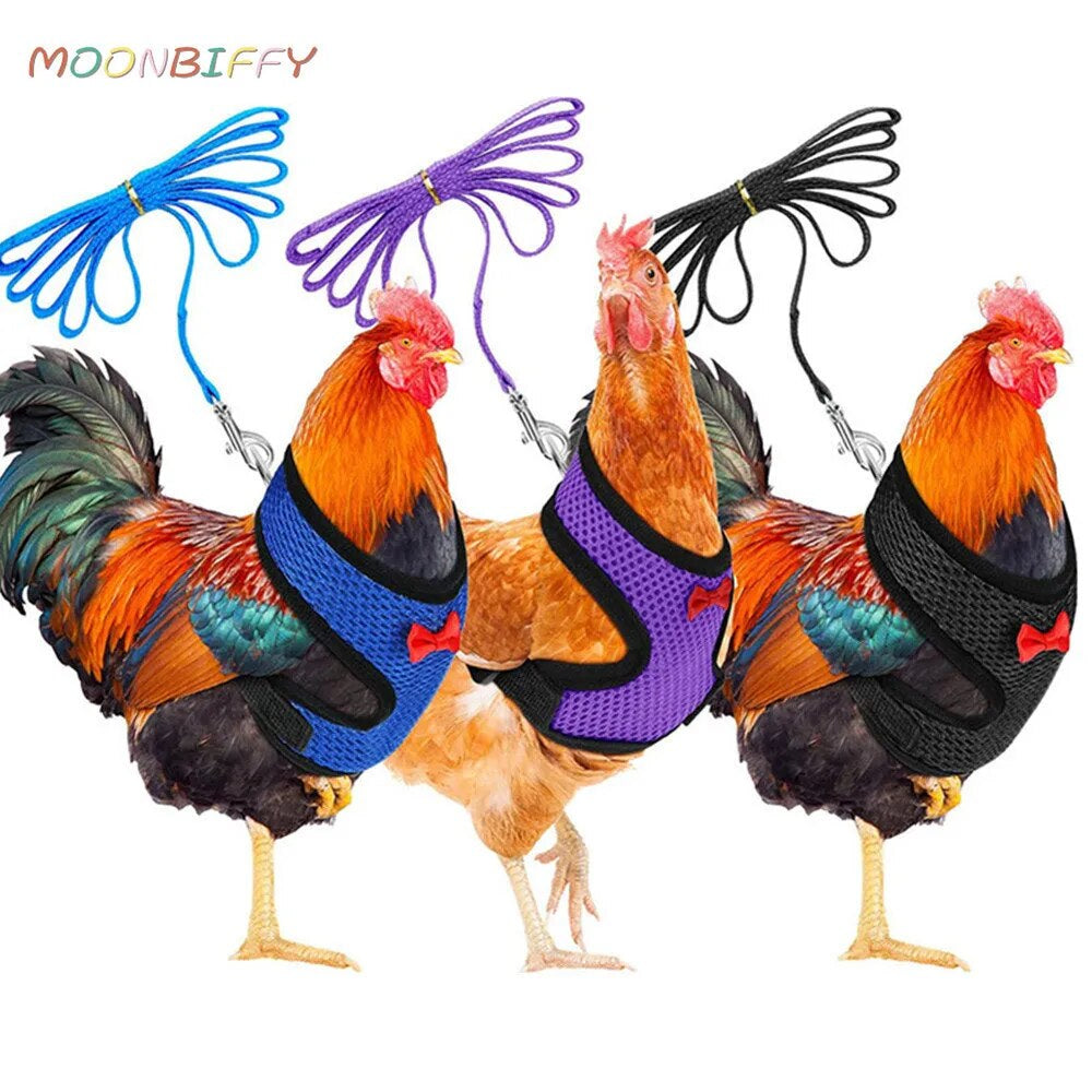 🔥Upgraded version🔥Velcro chicken breast strap neck (pet carrier)