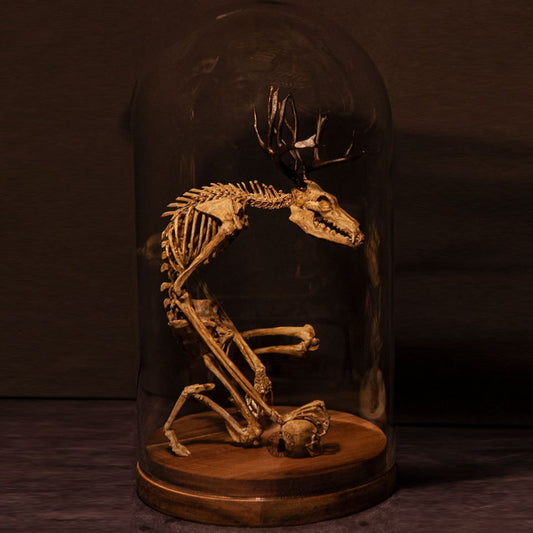 🔥🔥🔥Holiday Day Promotion 40% OFF WENDIGO SKELETON CURIOSITY CABINET  - Buy two and get free shipping!