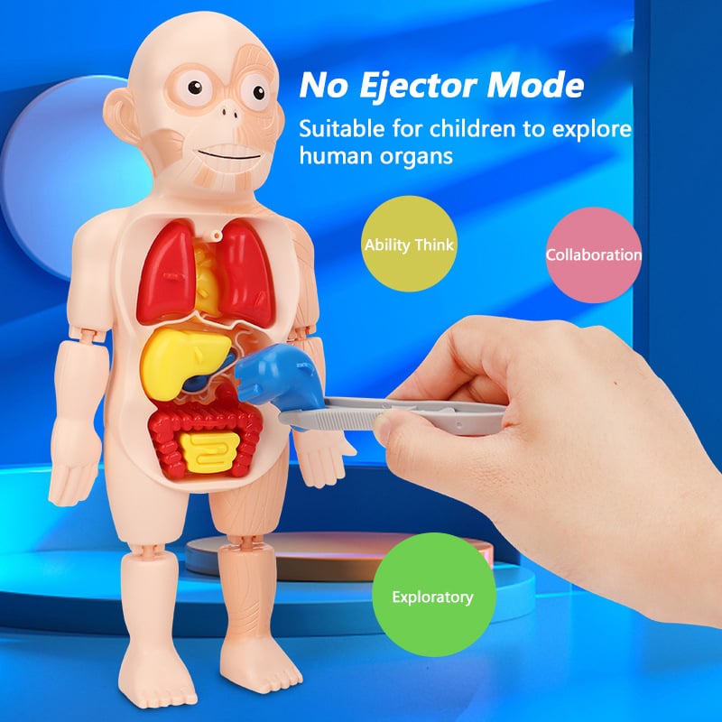 ☠️Mannequin Eject Educational Toy 🎁Halloween Gift