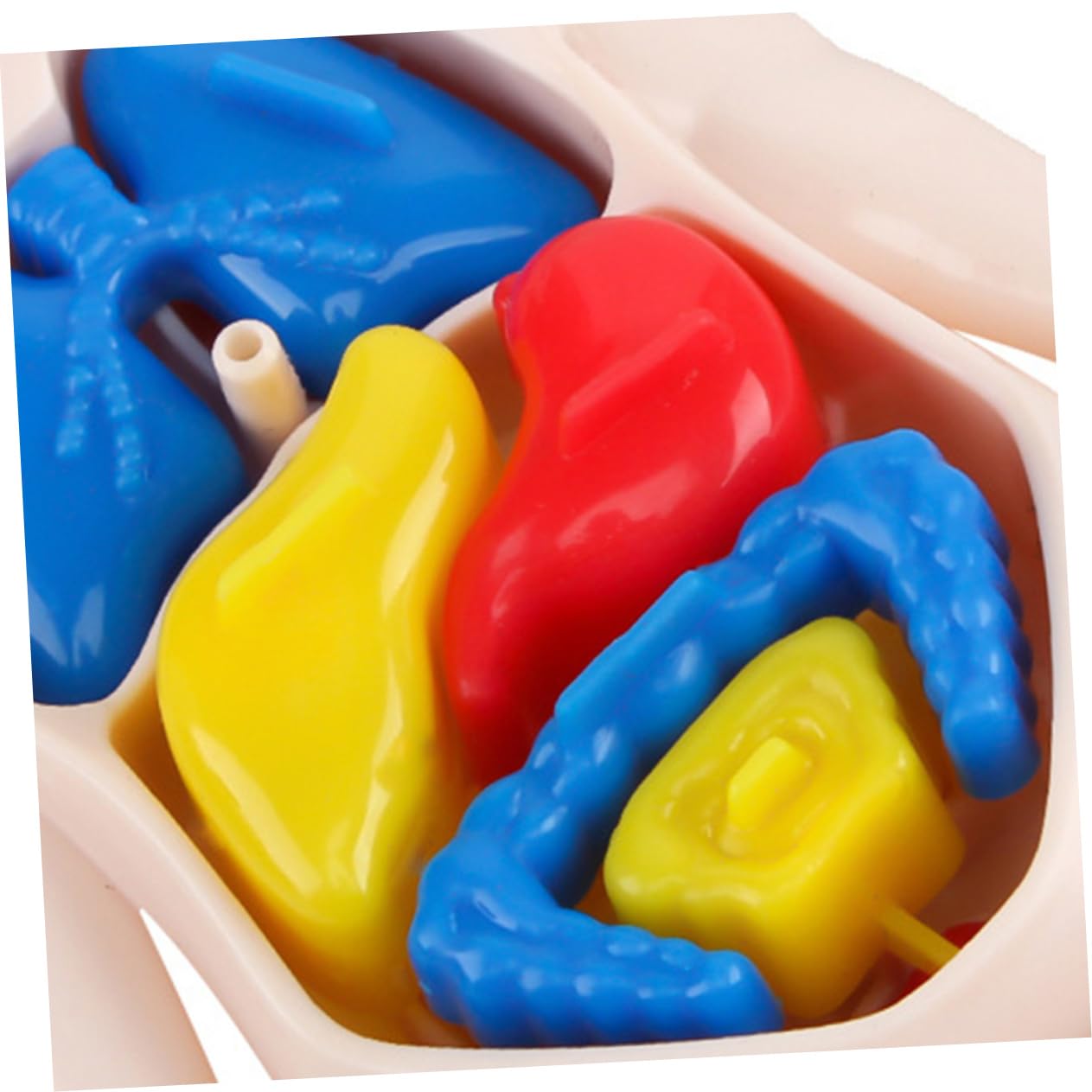 ☠️Mannequin Eject Educational Toy 🎁Halloween Gift