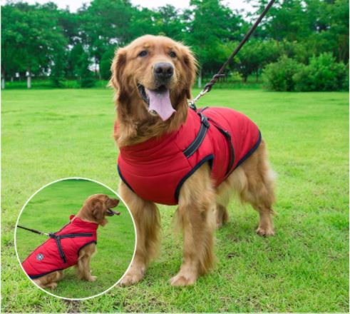 🔥Specially designed for pets🔥 Waterproof winter jacket with built-in harness